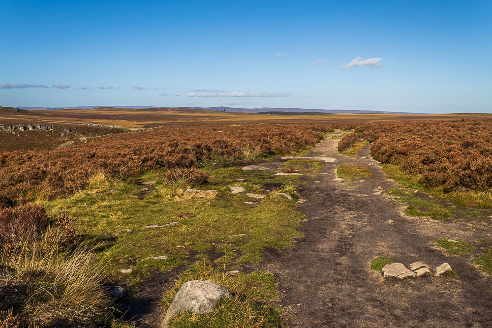 High Neb